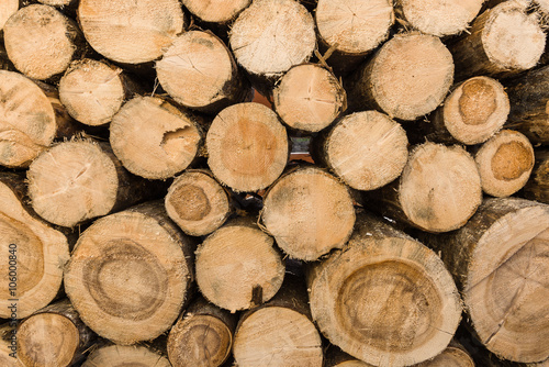 Stack of Firewood