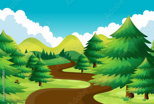 Nature scene with hiking track in the pine woods