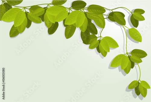 Nature background with ivy leaves