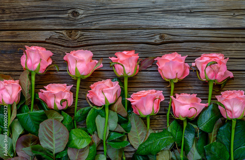 Side border of beautiful fresh pink roses