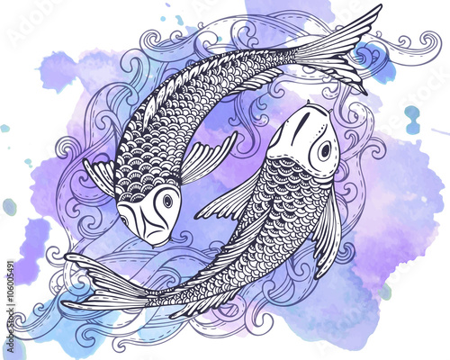 Hand drawn vector illustration of two Koi fishes (Japanese carp)