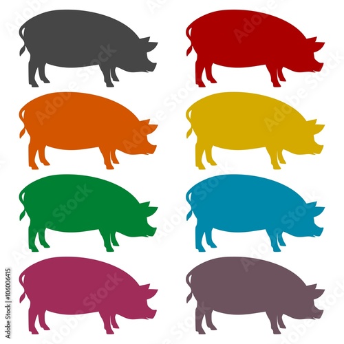 Silhouette of pig icons set 