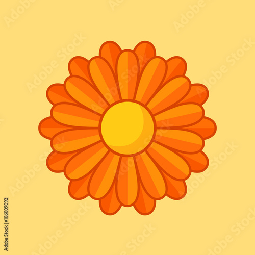 Orange Flower
