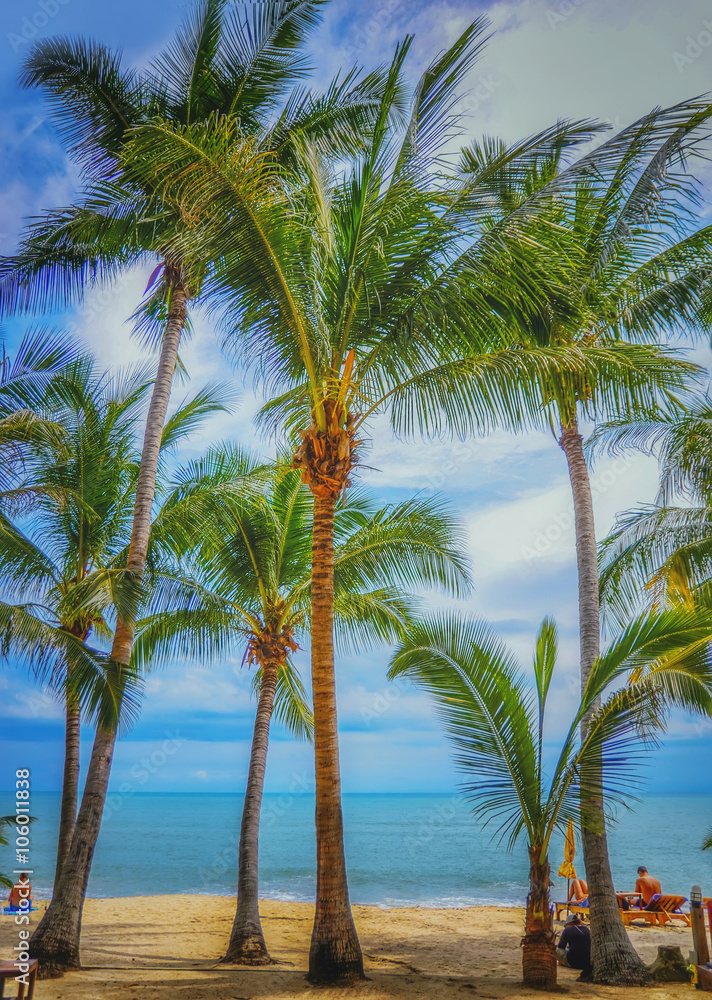 Fototapeta premium Panoramic view of tropical beach with coconut palm trees. Koh Samui, Thailand