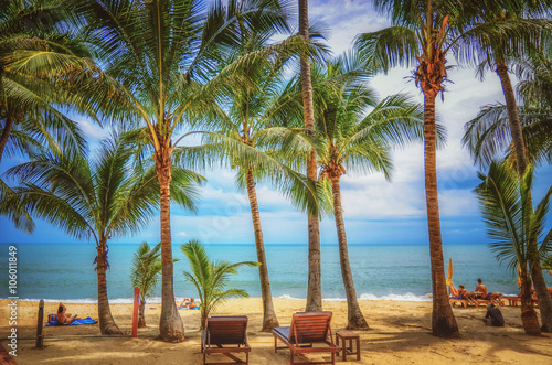 Panoramic view of tropical beach with coconut palm trees. Koh Samui  Thailand