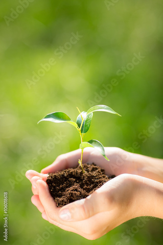 Child holding young plant in hands