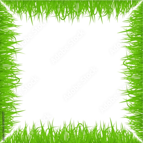 Green early spring grass frame isolated on white background. Realistic eco nature border.