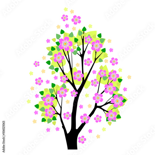 flowering tree sakura vector illustration
