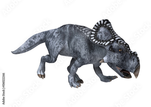 Dinosaur Protoceratops on White