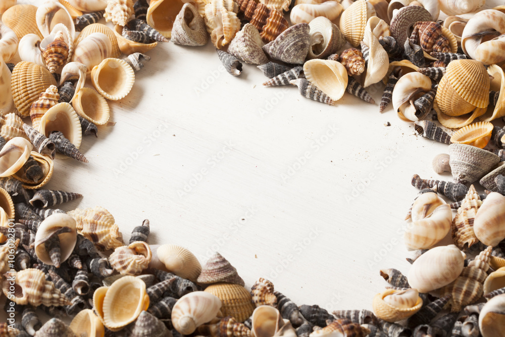 Obraz premium sea shells and frames 