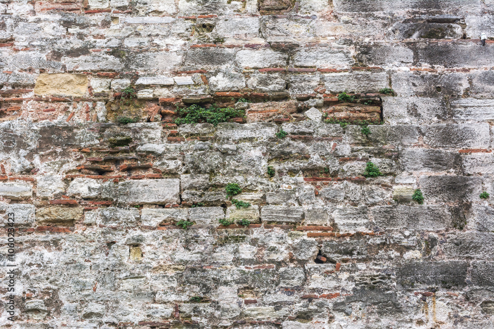 texture of old stone wall with grass texture of old stone wall with grass