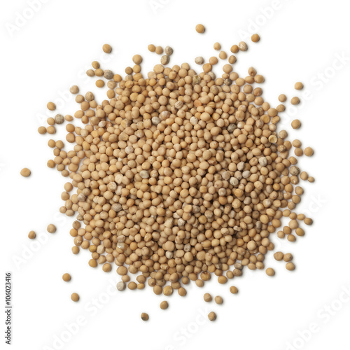 Heap of dried mustard seeds