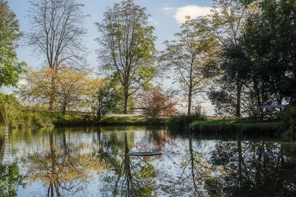 Laghetto con riflessi alberi dai colori autunnali. Parco della Burcina Felice Piacenza - Pollone, Biella Italia
