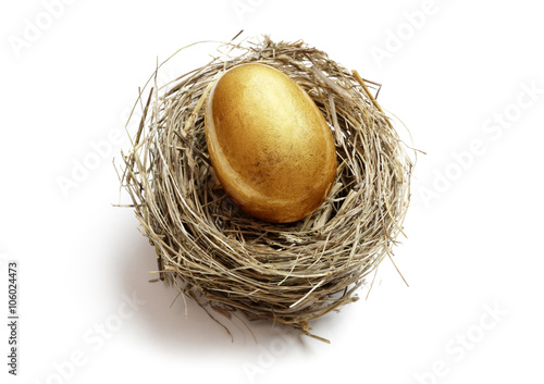 Fotografie Retirement savings golden nest egg
