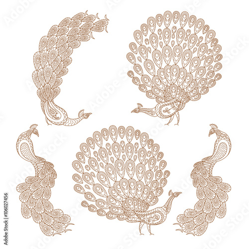 Peacock beard in indian mehndi style. Hand drawn peacock mehndi vector illustration