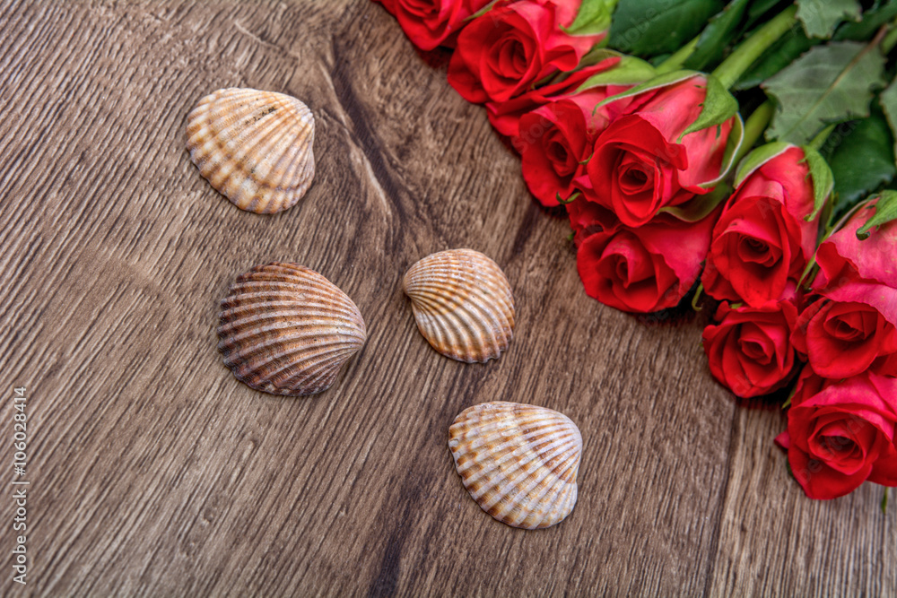 Fototapeta premium Brown shells and roses on wooden background