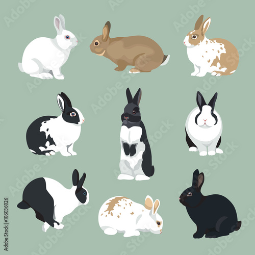 Fototapeta Easter Bunny vector illustration  Rabbits set in retro color style