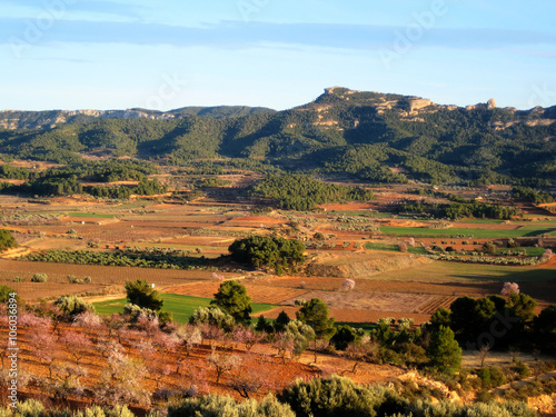 Terra Alta county landscape in spring, with the Pandols mountain range in the background (Gandesa, Catalonia, Spain). It was the scenario of the Ebro battle (Spanish Civil war)