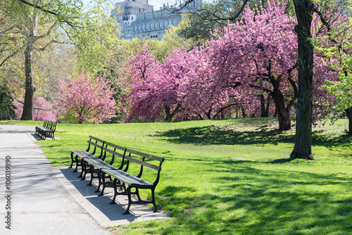 spring landscape in the Central park, New York, USA