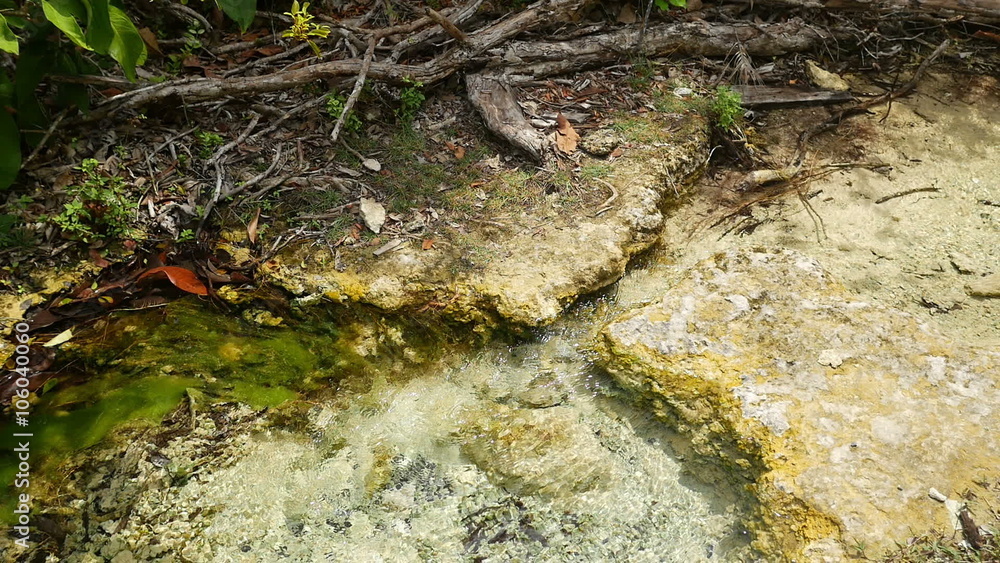 Closeup view of small tropical river in the Thai rainforest. Closeup view of small tropical river in the Thai rainforest.