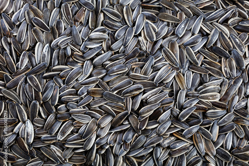 Sunflower seeds