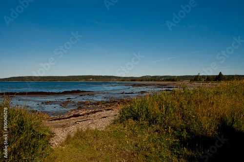 Long Pond Bay at low tide.