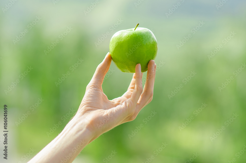Vegetarians and fresh fruit and vegetables on the nature of the theme: human hand holding a green apple on a background of green grass Vegetarians and fresh fruit and vegetables on the nature of the theme: human hand holding a green apple on a background of green grass