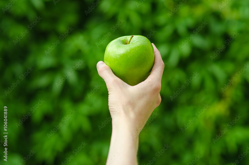 Vegetarians and fresh fruit and vegetables on the nature of the theme: human hand holding a green apple on a background of green grass Vegetarians and fresh fruit and vegetables on the nature of the theme: human hand holding a green apple on a background of green grass
