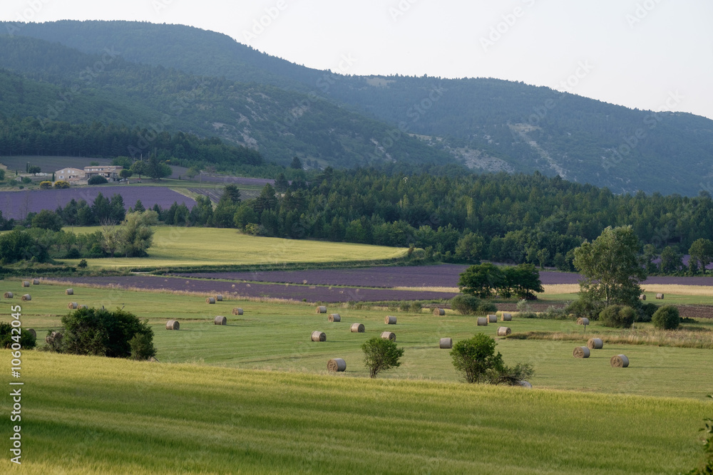 F, Provence, Vaucluse