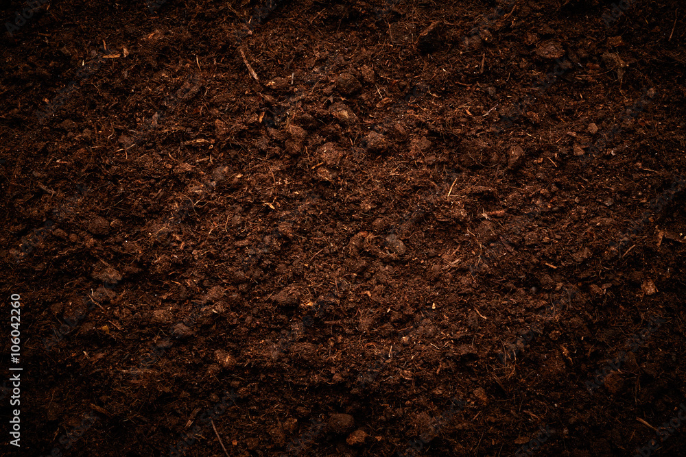 Soil background Soil background