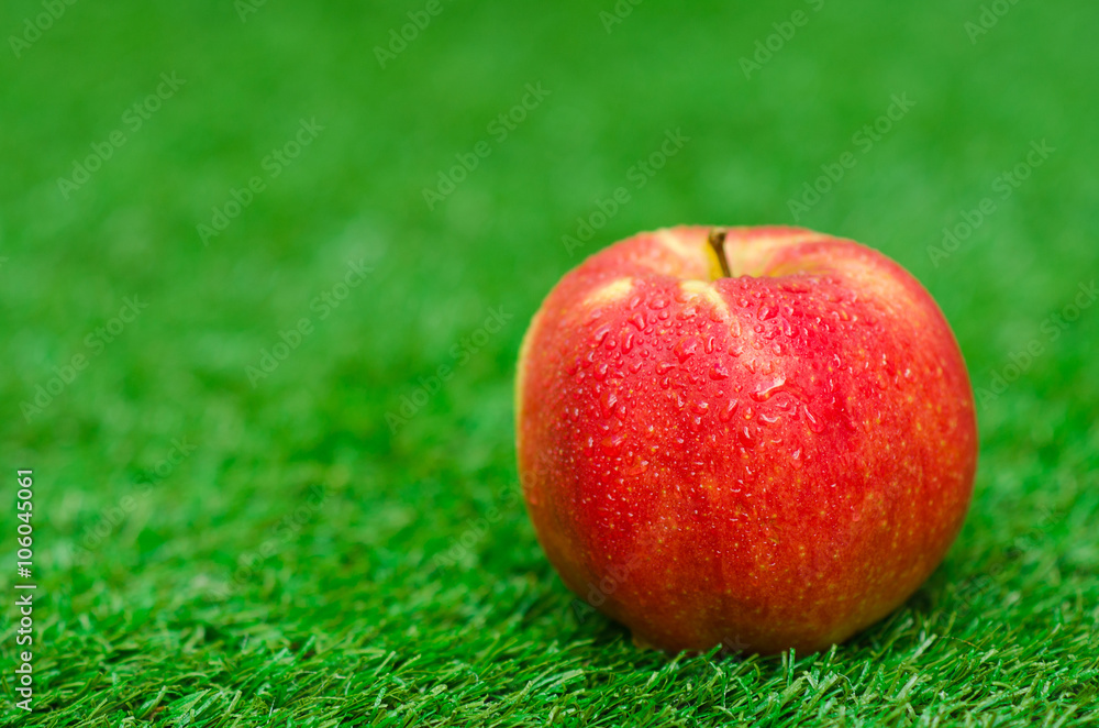 Fruits and healthy food theme: beautiful ripe red apple lying in the garden on the green grass in the summer