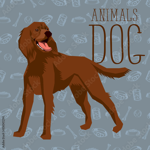 Vector Dogs Collection
