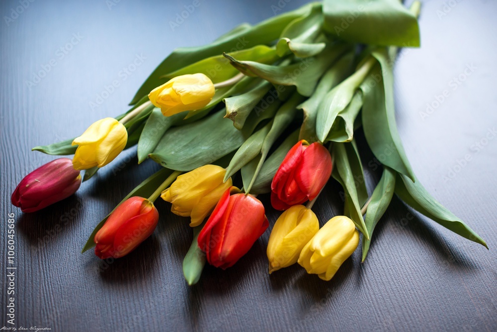 Obraz premium Весна тюльпаны