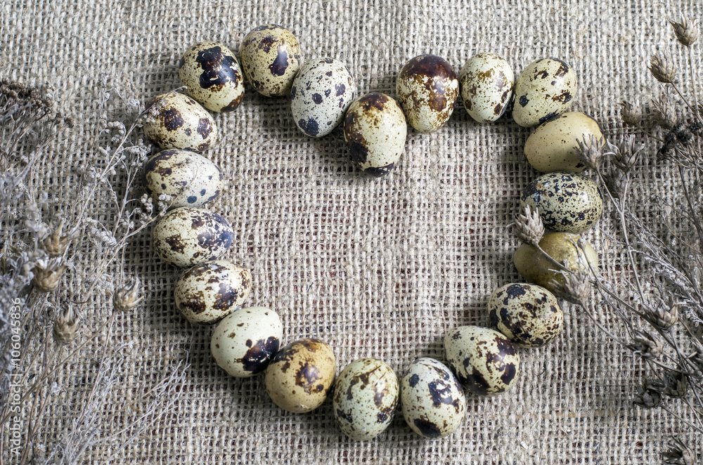 quail eggs in the shape of a heart quail eggs in the shape of a heart