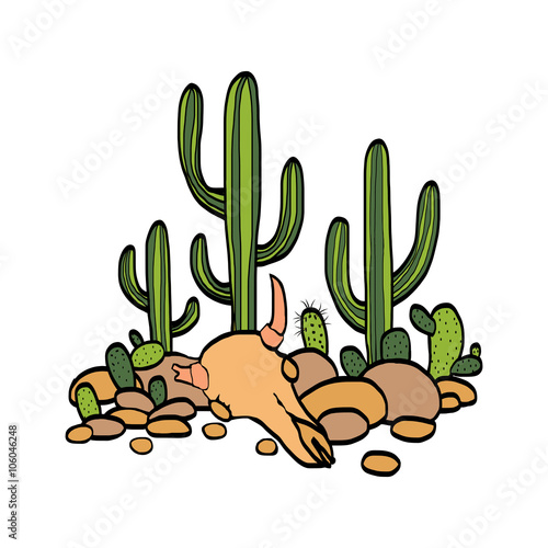 cactus, cow scull and stones