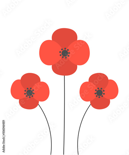 Fototapeta Naklejka Na Ścianę i Meble -  Red poppies illustration