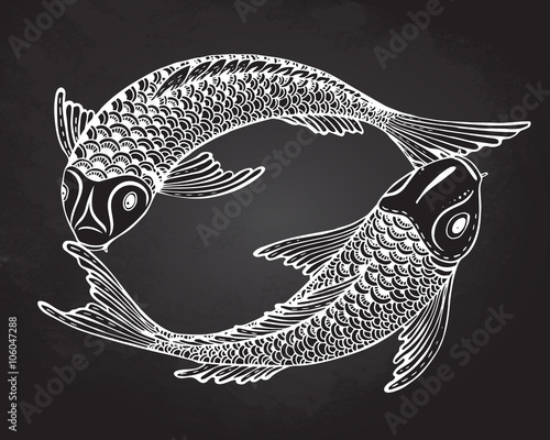Hand drawn vector illustration of two Koi fishes (Japanese carp)