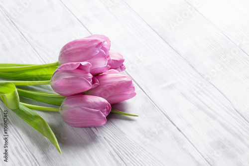 Fototapeta Naklejka Na Ścianę i Meble -  Fresh pink tulip flowers