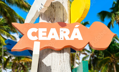 Ceara signpost with palm trees photo