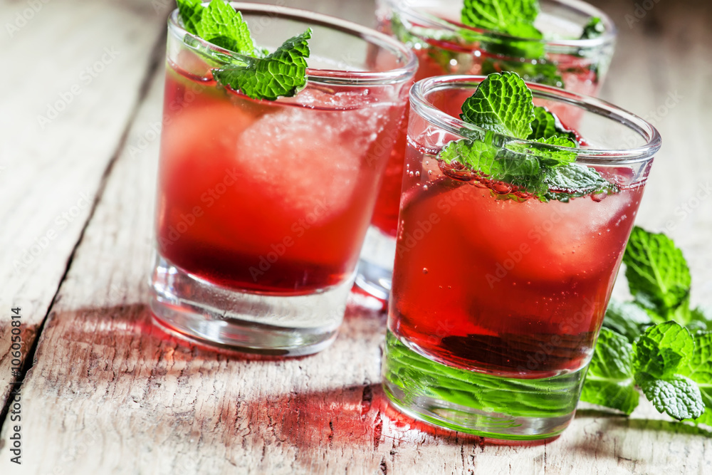 Cranberry cocktail Cape Codder with vodka and ice, selective foc Cranberry cocktail Cape Codder with vodka and ice, selective foc