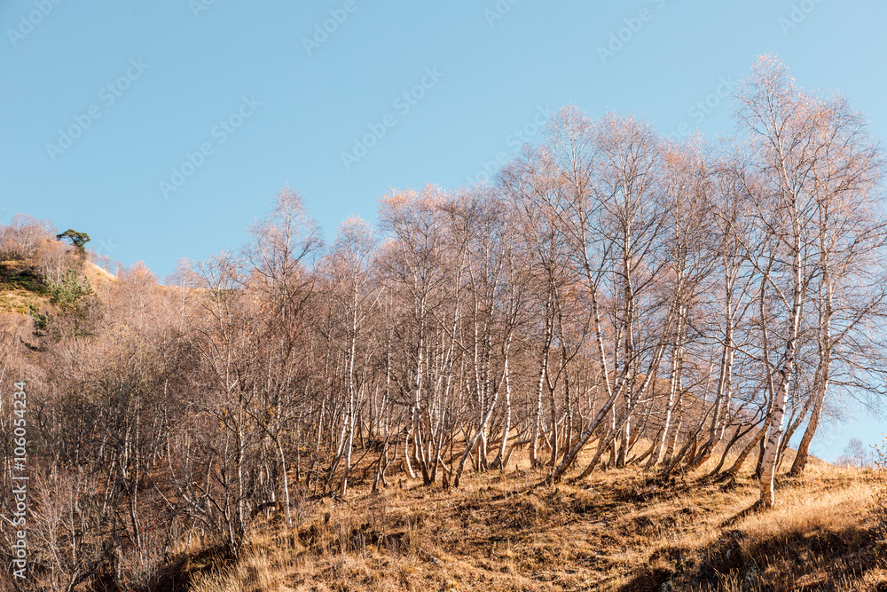 Autumn hills illuminated by the sun in the mountains Autumn hills illuminated by the sun in the mountains