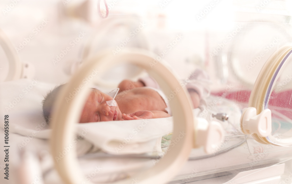 Premature newborn  baby girl - obrazy, fototapety, plakaty 