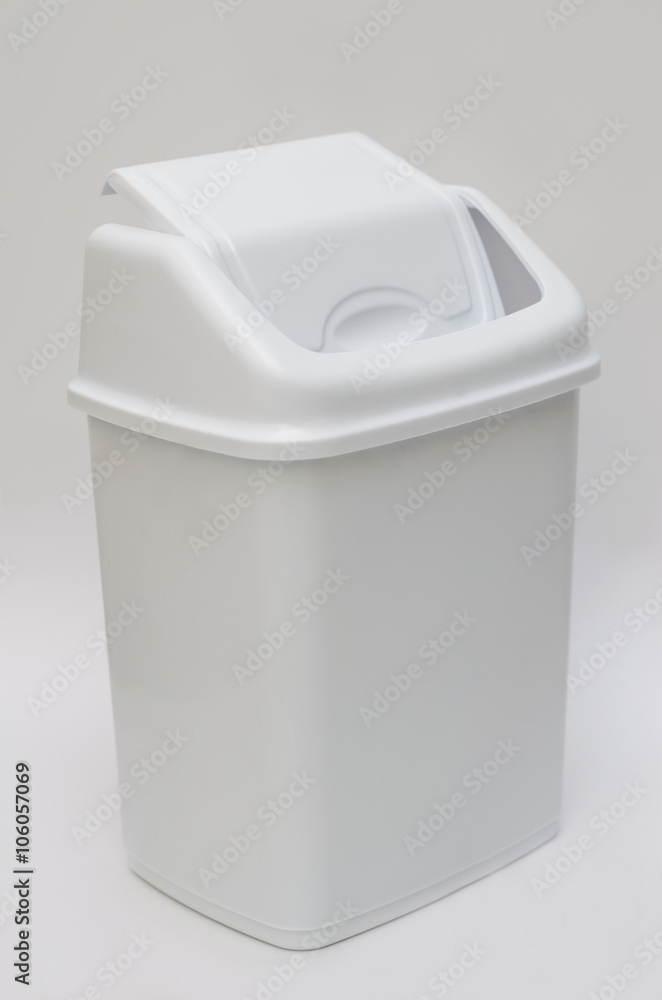 Trash bin with hinged lid