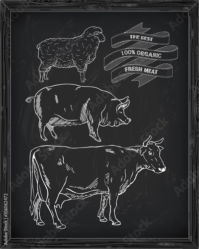 butchering beef diagram, pork, lamb