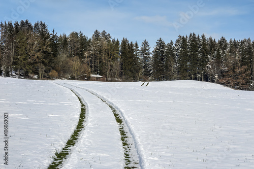 Car tracks in snow
