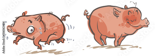 Cartoon Pigs.