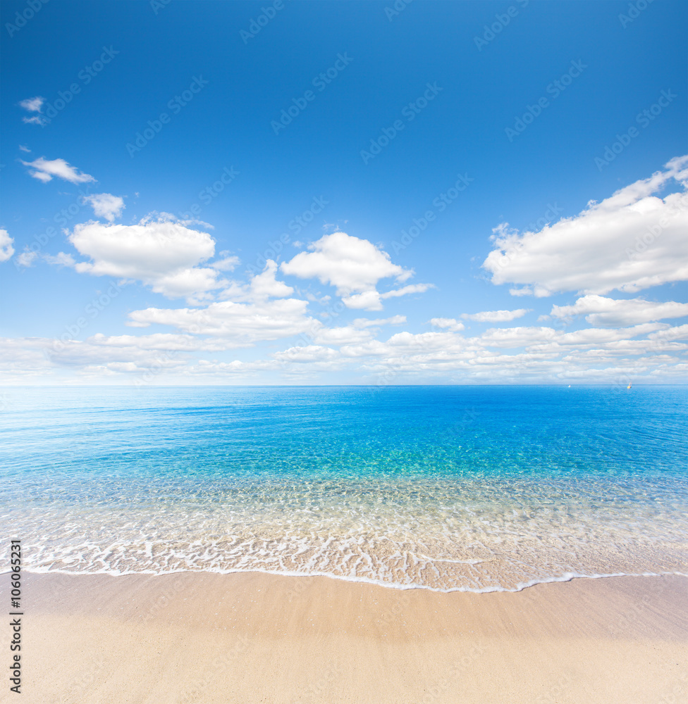 Fototapeta premium beach and tropical sea