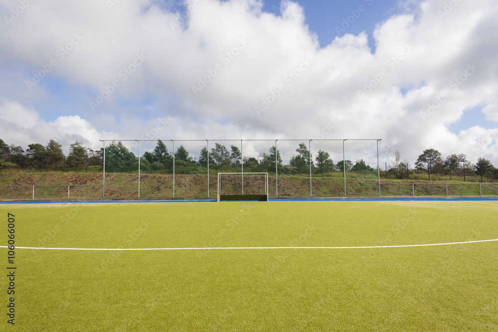Hockey Field goals astro surface playing landscape