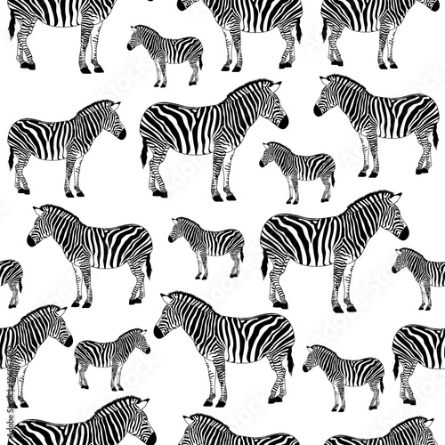 zebra black and white seamless background