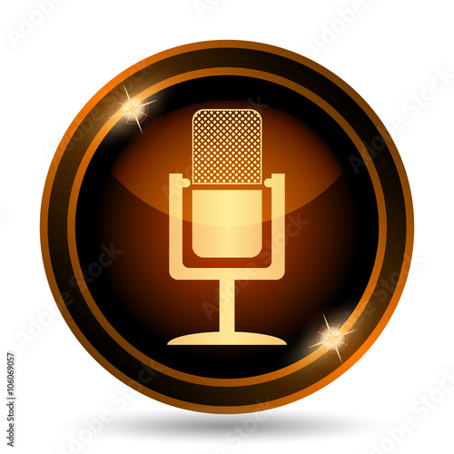 Microphone icon